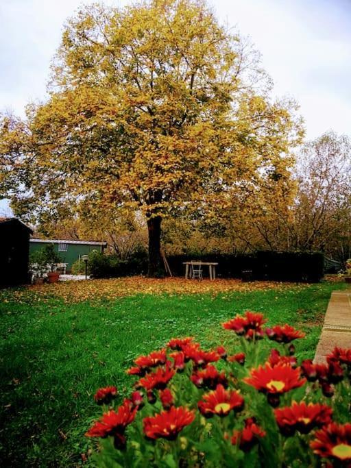 Casa Di Campagna Villa Ronciglione  Esterno foto